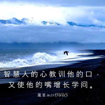 Picture 03 - 箴 言 16:23 CUVS - 智 慧 人 的 心 教 训 他 的 口 ， 又 - Bible Verse Picture