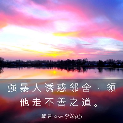 Picture 03 - 箴 言 16:29 CUVS - 强 暴 人 诱 惑 邻 舍 ， 领 他 走 不 - Bible Verse Picture