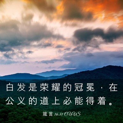 Picture 03 - 箴 言 16:31 CUVS - 白 发 是 荣 耀 的 冠 冕 ， 在 公 义 - Bible Verse Picture