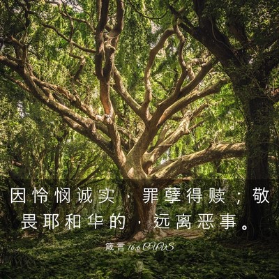 Picture 03 - 箴 言 16:6 CUVS - 因 怜 悯 诚 实 ， 罪 孽 得 赎 ； 敬 - Bible Verse Picture