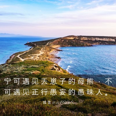 Picture 03 - 箴 言 17:12 CUVS - 宁 可 遇 见 丢 崽 子 的 母 熊 ， 不 - Bible Verse Picture