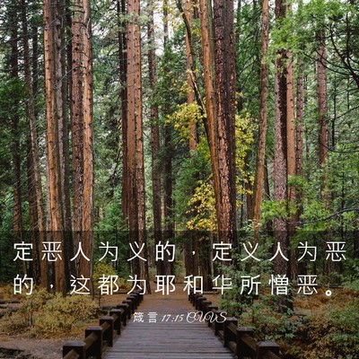 Picture 03 - 箴 言 17:15 CUVS - 定 恶 人 为 义 的 ， 定 义 人 为 恶 - Bible Verse Picture