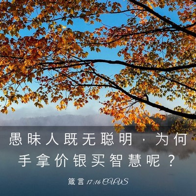 Picture 03 - 箴 言 17:16 CUVS - 愚 昧 人 既 无 聪 明 ， 为 何 手 拿 - Bible Verse Picture