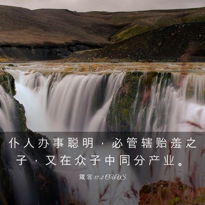 Picture 03 - 箴 言 17:2 CUVS - 仆 人 办 事 聪 明 ， 必 管 辖 贻 羞 - Bible Verse Picture