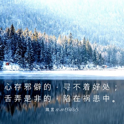 Picture 03 - 箴 言 17:20 CUVS - 心 存 邪 僻 的 ， 寻 不 着 好 处 ； - Bible Verse Picture