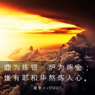 Picture 03 - 箴 言 17:3 CUVS - 鼎 为 炼 银 ， 炉 为 炼 金 ； 惟 有 - Bible Verse Picture