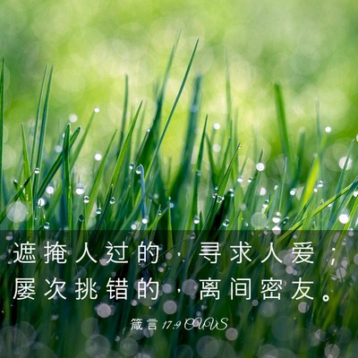 Picture 03 - 箴 言 17:9 CUVS - 遮 掩 人 过 的 ， 寻 求 人 爱 ； 屡 - Bible Verse Picture