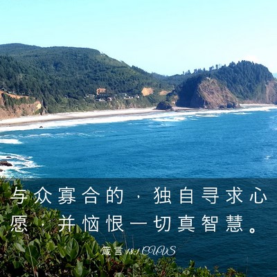 Picture 03 - 箴 言 18:1 CUVS - 与 众 寡 合 的 ， 独 自 寻 求 心 愿 - Bible Verse Picture