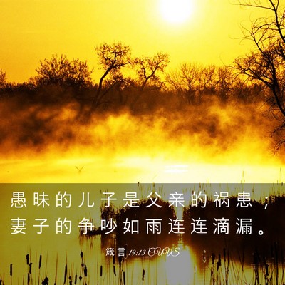 Picture 03 - 箴 言 19:13 CUVS - 愚 昧 的 儿 子 是 父 亲 的 祸 患 ； - Bible Verse Picture