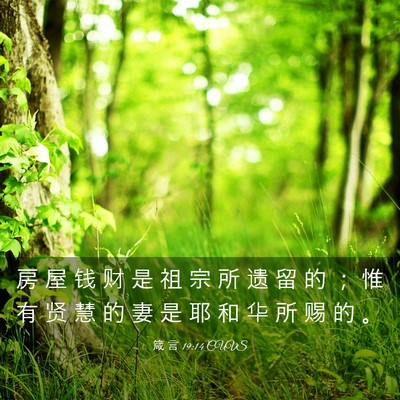 Picture 03 - 箴 言 19:14 CUVS - 房 屋 钱 财 是 祖 宗 所 遗 留 的 ； - Bible Verse Picture