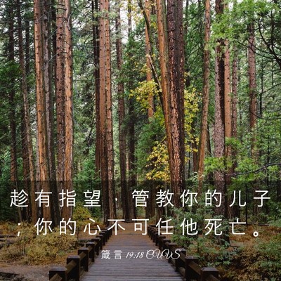 Picture 03 - 箴 言 19:18 CUVS - 趁 有 指 望 ， 管 教 你 的 儿 子 ； - Bible Verse Picture