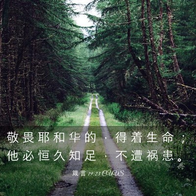 Picture 03 - 箴 言 19:23 CUVS - 敬 畏 耶 和 华 的 ， 得 着 生 命 ； - Bible Verse Picture
