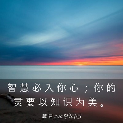 Picture 03 - 箴 言 2:10 CUVS - 智 慧 必 入 你 心 ； 你 的 灵 要 以 - Bible Verse Picture
