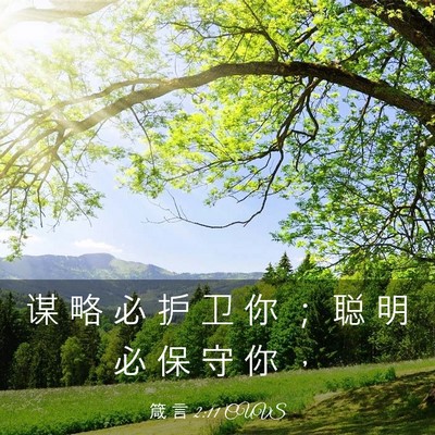 Picture 03 - 箴 言 2:11 CUVS - 谋 略 必 护 卫 你 ； 聪 明 必 保 守 - Bible Verse Picture