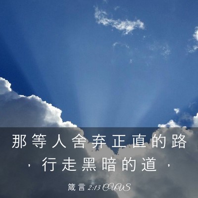 Picture 03 - 箴 言 2:13 CUVS - 那 等 人 舍 弃 正 直 的 路 ， 行 走 - Bible Verse Picture