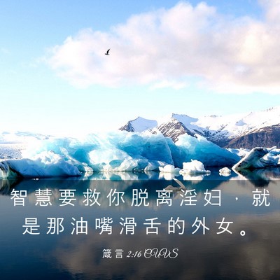 Picture 03 - 箴 言 2:16 CUVS - 智 慧 要 救 你 脱 离 淫 妇 ， 就 是 - Bible Verse Picture