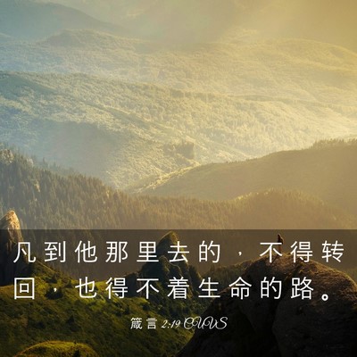 Picture 03 - 箴 言 2:19 CUVS - 凡 到 他 那 里 去 的 ， 不 得 转 回 - Bible Verse Picture