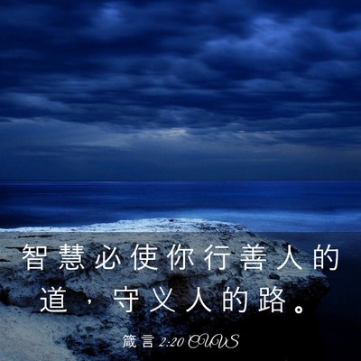 Picture 03 - 箴 言 2:20 CUVS - 智 慧 必 使 你 行 善 人 的 道 ， 守 - Bible Verse Picture