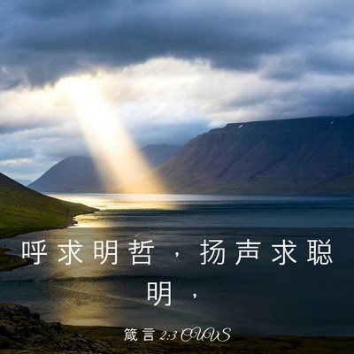 Picture 03 - 箴 言 2:3 CUVS - 呼 求 明 哲 ， 扬 声 求 聪 明 - Bible Verse Picture