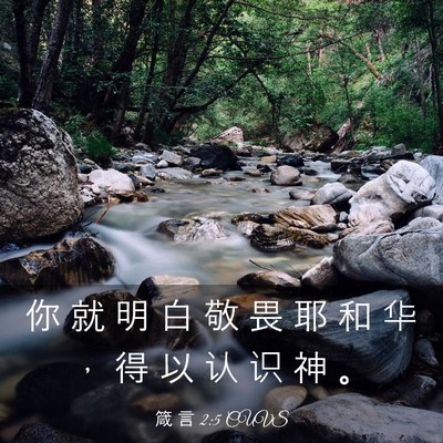 Picture 03 - 箴 言 2:5 CUVS - 你 就 明 白 敬 畏 耶 和 华 ， 得 以 - Bible Verse Picture
