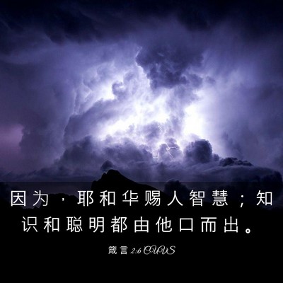 Picture 03 - 箴 言 2:6 CUVS - 因 为 ， 耶 和 华 赐 人 智 慧 ； 知 - Bible Verse Picture