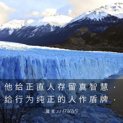 Picture 03 - 箴 言 2:7 CUVS - 他 给 正 直 人 存 留 真 智 慧 ， 给 - Bible Verse Picture