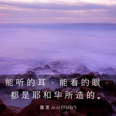 Picture 03 - 箴 言 20:12 CUVS - 能 听 的 耳 ， 能 看 的 眼 ， 都 是 - Bible Verse Picture