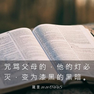 Picture 03 - 箴 言 20:20 CUVS - 咒 骂 父 母 的 ， 他 的 灯 必 灭 ， - Bible Verse Picture