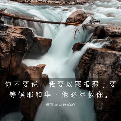 Picture 03 - 箴 言 20:22 CUVS - 你 不 要 说 ， 我 要 以 恶 报 恶 ； - Bible Verse Picture