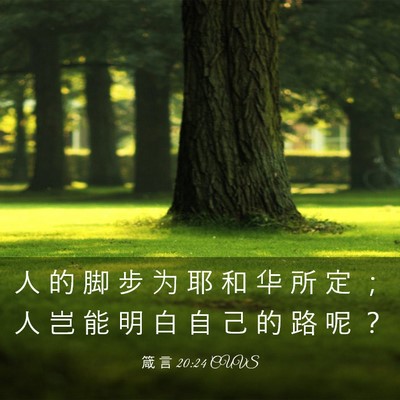 Picture 03 - 箴 言 20:24 CUVS - 人 的 脚 步 为 耶 和 华 所 定 ； 人 - Bible Verse Picture