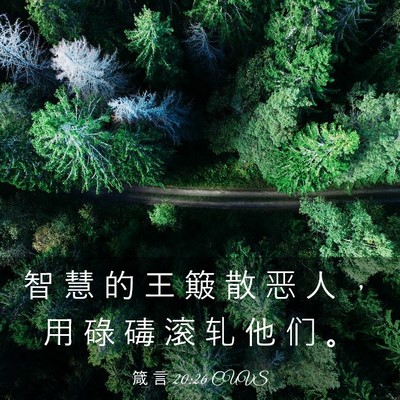 Picture 03 - 箴 言 20:26 CUVS - 智 慧 的 王 簸 散 恶 人 ， 用 碌 碡 - Bible Verse Picture