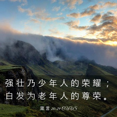 Picture 03 - 箴 言 20:29 CUVS - 强 壮 乃 少 年 人 的 荣 耀 ； 白 发 - Bible Verse Picture