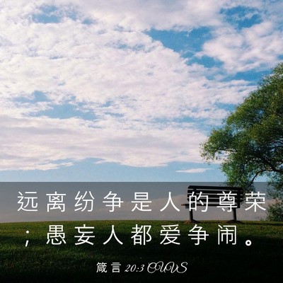 Picture 03 - 箴 言 20:3 CUVS - 远 离 纷 争 是 人 的 尊 荣 ； 愚 妄 - Bible Verse Picture