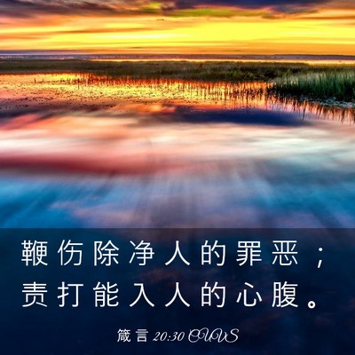 Picture 03 - 箴 言 20:30 CUVS - 鞭 伤 除 净 人 的 罪 恶 ； 责 打 能 - Bible Verse Picture