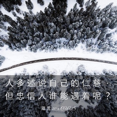 Picture 03 - 箴 言 20:6 CUVS - 人 多 述 说 自 己 的 仁 慈 ， 但 忠 - Bible Verse Picture