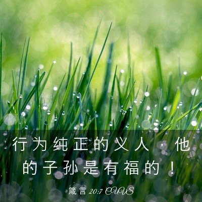 Picture 03 - 箴 言 20:7 CUVS - 行 为 纯 正 的 义 人 ， 他 的 子 孙 - Bible Verse Picture