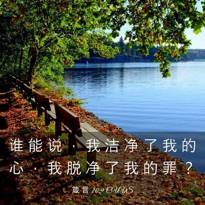 Picture 03 - 箴 言 20:9 CUVS - 谁 能 说 ， 我 洁 净 了 我 的 心 ， - Bible Verse Picture