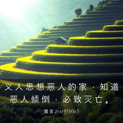 Picture 03 - 箴 言 21:12 CUVS - 义 人 思 想 恶 人 的 家 ， 知 道 恶 - Bible Verse Picture