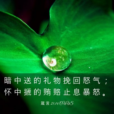 Picture 03 - 箴 言 21:14 CUVS - 暗 中 送 的 礼 物 挽 回 怒 气 ； 怀 - Bible Verse Picture