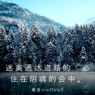Picture 03 - 箴 言 21:16 CUVS - 迷 离 通 达 道 路 的 ， 必 住 在 阴 - Bible Verse Picture