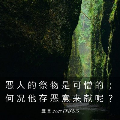 Picture 03 - 箴 言 21:27 CUVS - 恶 人 的 祭 物 是 可 憎 的 ； 何 况 - Bible Verse Picture