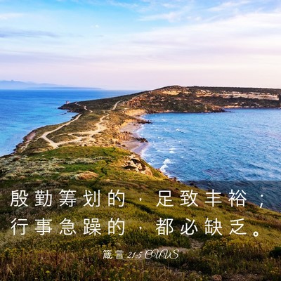 Picture 03 - 箴 言 21:5 CUVS - 殷 勤 筹 划 的 ， 足 致 丰 裕 ； 行 - Bible Verse Picture