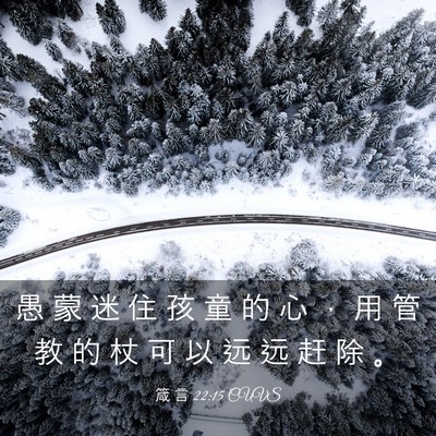 Picture 03 - 箴 言 22:15 CUVS - 愚 蒙 迷 住 孩 童 的 心 ， 用 管 教 - Bible Verse Picture