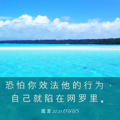 Picture 03 - 箴 言 22:25 CUVS - 恐 怕 你 效 法 他 的 行 为 ， 自 己 - Bible Verse Picture