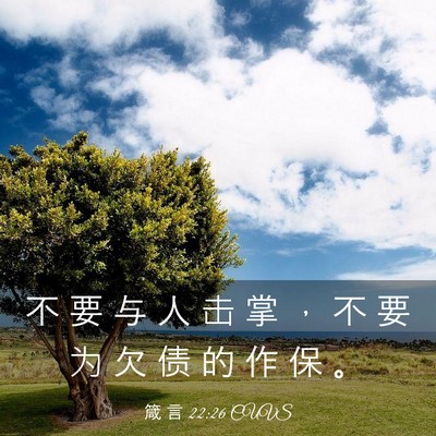 Picture 03 - 箴 言 22:26 CUVS - 不 要 与 人 击 掌 ， 不 要 为 欠 债 - Bible Verse Picture