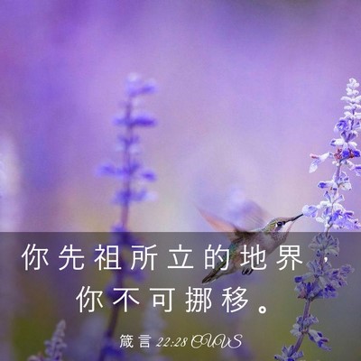 Picture 03 - 箴 言 22:28 CUVS - 你 先 祖 所 立 的 地 界 ， 你 不 可 - Bible Verse Picture
