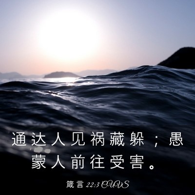 Picture 03 - 箴 言 22:3 CUVS - 通 达 人 见 祸 藏 躲 ； 愚 蒙 人 前 - Bible Verse Picture