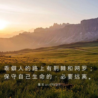 Picture 03 - 箴 言 22:5 CUVS - 乖 僻 人 的 路 上 有 荆 棘 和 网 罗 - Bible Verse Picture