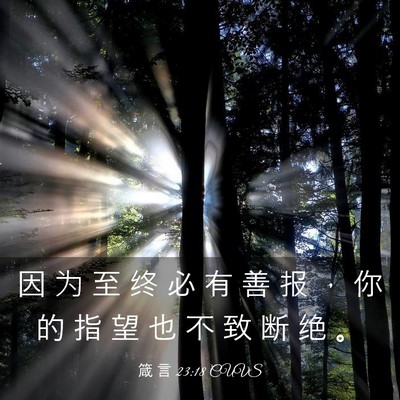 Picture 03 - 箴 言 23:18 CUVS - 因 为 至 终 必 有 善 报 ， 你 的 指 - Bible Verse Picture