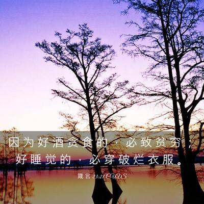 Picture 03 - 箴 言 23:21 CUVS - 因 为 好 酒 贪 食 的 ， 必 致 贫 穷 - Bible Verse Picture